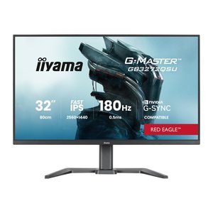 IIYAMA 80,0cm (32") GB3272QSU-B1 16:9 2xHDMI+DP+2xUSB-C