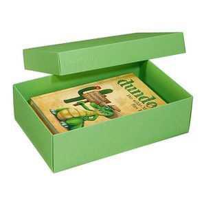 BUNTBOX L Geschenkboxen 3,6 l grün 26,6 x 17,2 x 7,8 cm, 2 St.