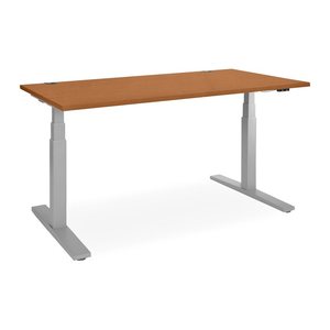 Elektrisch höhenverstellbarer Schreibtisch – Gestell Grau (1800 x 800 mm, Platte Buche)