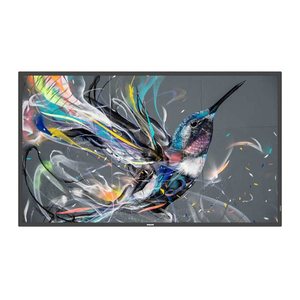 PHILIPS Q-Line 65BDL3511Q 165,1cm(65") 18/7/UHD (Speditionsversand)