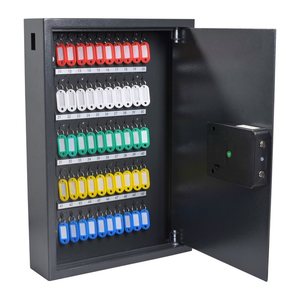 pavo Advanced Schlüsseltresor grau mit 50 Haken, Elektronikschloss, 40,0 x 10,0 x 55,0 cm, 1 St.