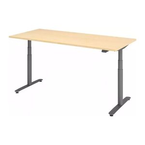 HAMMERBACHER VXDLR19 elektrisch höhenverstellbarer Schreibtisch ahorn rechteckig, T-Fuß-Gestell grau 180,0 x 80,0 cm