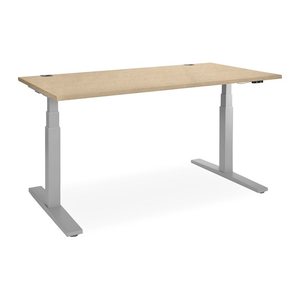 Elektrisch höhenverstellbarer Schreibtisch – Gestell Grau (1800 x 800 mm, Platte Ahorn)