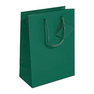SIGEL Geschenktüten grün 17,0 x 23,0 cm, 5 St.
