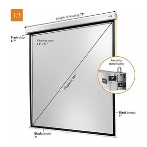 celexon Rolloleinwand Professional Plus 1:1, 180 x 180 cm Projektionsfläche