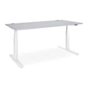 Elektrisch höhenverstellbarer Schreibtisch – Gestell Weiß (2000 x 1000 mm, Platte Grau, Gestell RAL 9016)