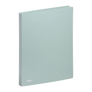 PAGNA Pastell eco Ringbuch 2-Ringe minze 2,3 cm DIN A4, 1 St.