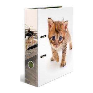 HERMA Ordner A4 Karton Katze