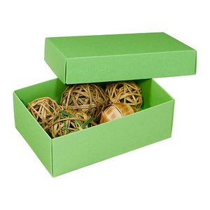 BUNTBOX M Geschenkboxen 1,1 l grün 17,0 x 11,0 x 6,0 cm, 3 St.