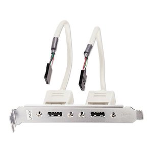 LINDY Slotblech USB Adapter 2x USB TYP A 5 IDC-Kupplung 0.2m