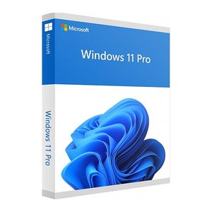 Windows 11 Pro 64Bit DSP 1pk Französisch DVD
