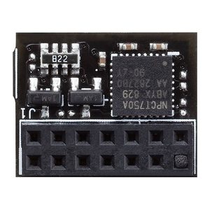 ASUS TPM-SPI bulk