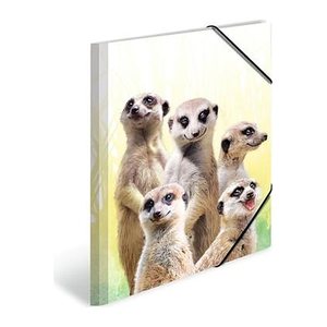 HERMA Zeichenmappen DIN A3 Erdmännchen, 3 St.
