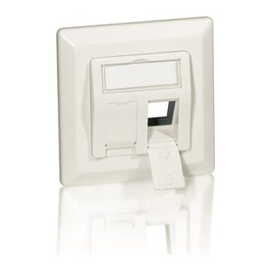 Equip Frontplatte 2xKeystone Jack 45° 5Stk RAL1013 Polybeutel