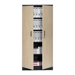 Gürkan Stahlschrank 100130 tiefschwarz, ahorn 4 Fachböden 92,0 x 42,0 x 195,0 cm, aufgebaut, 1 St.