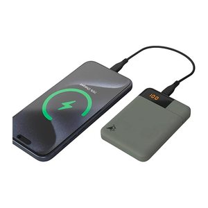 Aqiila® POWERBIRD B5 Powerbank 5.000 mAh grün