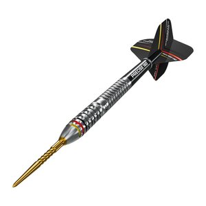 Precise180 - Steeldarts Ricardo Pietreczko - 21gr.