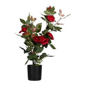 meet powered by PAPERFLOW ROSENSTOCK Kunstpflanze 54,0 cm