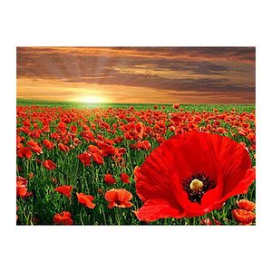 PRACHT® Creatives Diamond Painting Mohnblumen mehrfarbig
