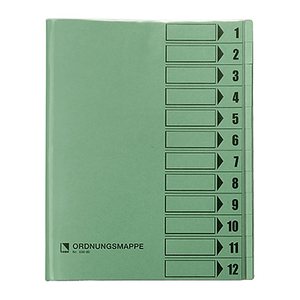 bene Ordnungsmappe 12 Fächer grün, 1 St.