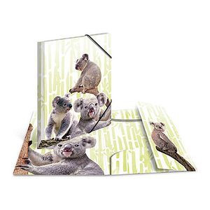 HERMA Sammelmappen DIN A4 Koalas, 3 St.