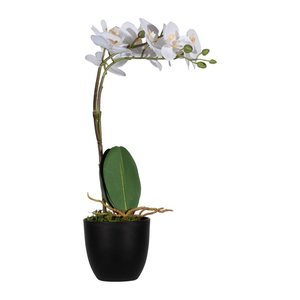 meet powered by PAPERFLOW ORCHIDEE Kunstpflanze 40,0 cm