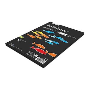 Rainbow Kopierpapier schwarz DIN A4 80 g/qm 100 Blatt