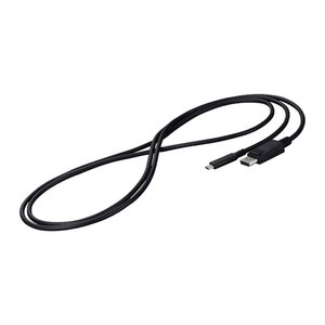 Eizo Kabel USB-C -> DisplayPort Signal Kabel 2m black