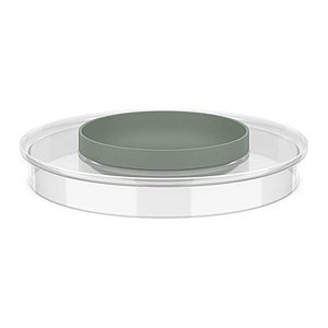 MEPAL Deckel für Schüssel Chef It transparent, 1 St.