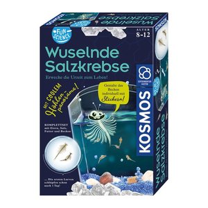 KOSMOS Experimentierkasten Wuselnde Salzkrebse mehrfarbig