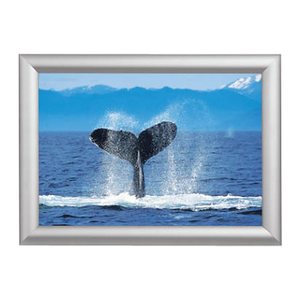 Showdown® Displays  Klapprahmen silber 62,5 x 87,2 cm, 1 St.