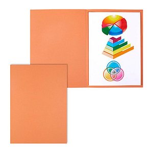 ELBA Aktendeckel Smart Line DIN A4 orange, 100 St.
