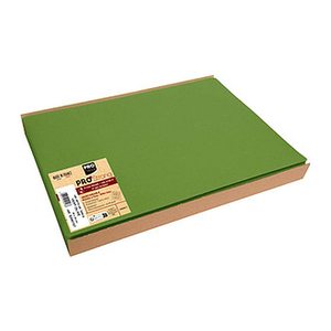 PROnappe Platzsets grün 30,0 x 40,0 cm, 100 St.