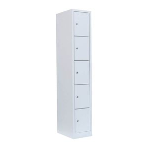LÜLLMANN Schließfachschrank lichtgrau 520510, 5 Schließfächer 31,5 x 50,0 x 180,0 cm