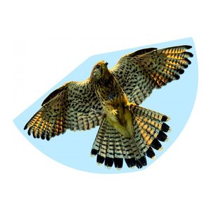 Günther® Flugdrachen Falke mehrfarbig, 1 St.