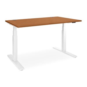 Elektrisch höhenverstellbarer Schreibtisch – Gestell Weiß (1600 x 800 mm, Platte Grau, Gestell RAL 9016)