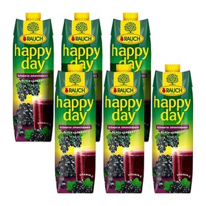 happy day Fruchtnektar Schwarze Johannisbeere 6x 1,0 l