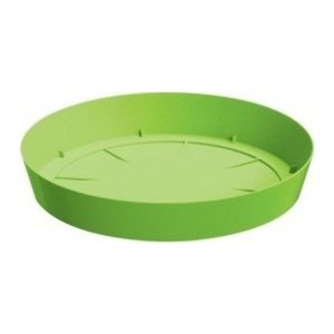 Zeller Untersetzer transparent 10,0 x 10,0 cm 4-tlg., 4 St.