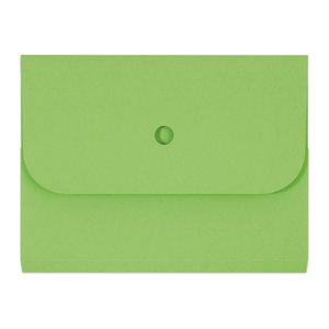 ELCO Sammelmappen Ordo forte 0,3 cm grün, 25 St.
