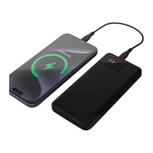 Aqiila® POWERBIRD B10 Powerbank 10.000 mAh schwarz