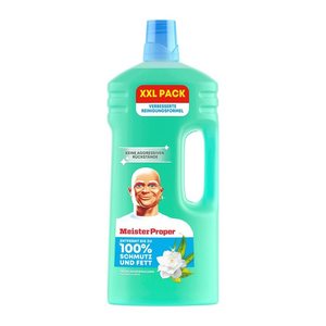 Meister Proper FRÜHLINGSERWACHEN Allzweckreiniger 2 l, 1 St.