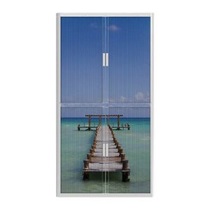 PAPERFLOW easyOffice Rollladenschrank Urlaub ohne Fachböden 110,0 x 41,5 x 204,0 cm