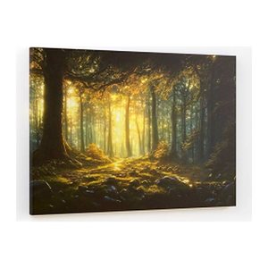 ALLboards Magnettafel CANVASboards 90,0 x 60,0 cm Märchen Wald