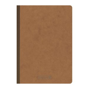 BRUNNEN Notizbuch FACT!plus DIN A5 kariert, hellbraun Softcover 192 Seiten, 1 St.