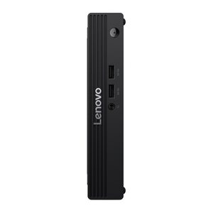 Lenovo ThinkCentre V100q Tiny N100 8/256 WiFi Linux
