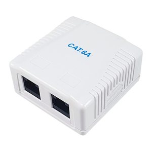 Equip Aufputzdose Cat6A 2-Port 2x RJ45 UTP RAL 9010 ws Polybeutel