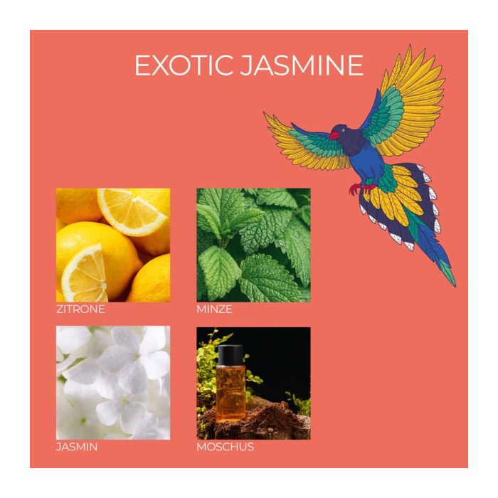 Frida Kahlo Duftkerze - La Belle vie, Exotic Jasmine 3er Set
