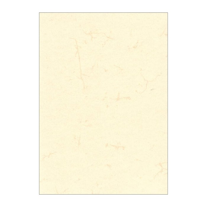 RNK-Verlag Motivpapier Elefantenhaut chamois DIN A3 190 g/qm 10 Blatt