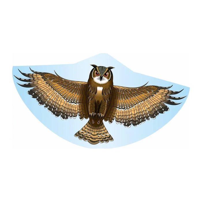 Günther® Flugdrachen Eule mehrfarbig, 1 St.