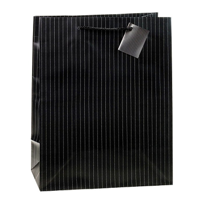 TSI Geschenktüten Nadelstreifen Motiv 26,0 x 32,0 cm, 12 St.